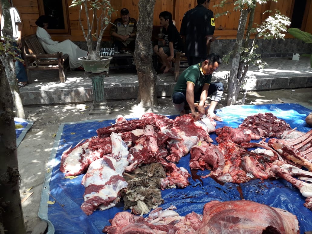 Pemotongan Hewan Kurban pada Iedul Adha di Yogyakarta